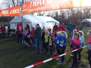 Start Gouda cross